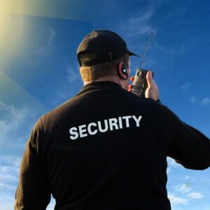 SECURITY INDUSTRY